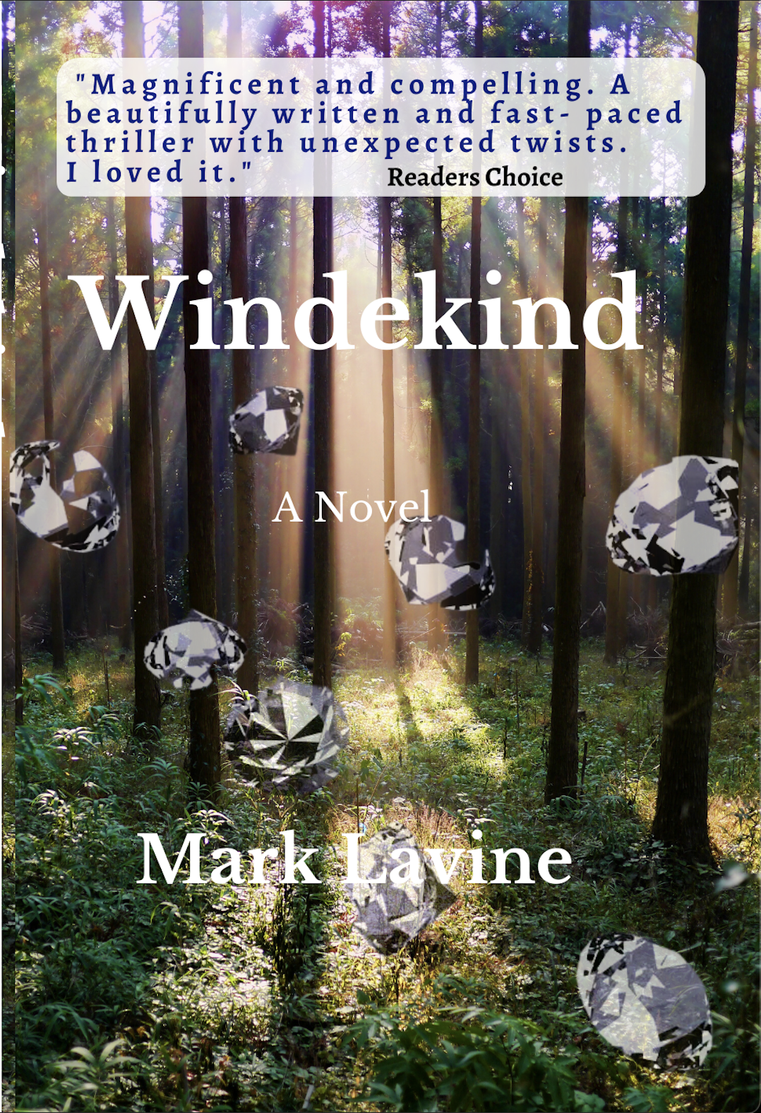 Windekind by Mark Lavine: Book Review
